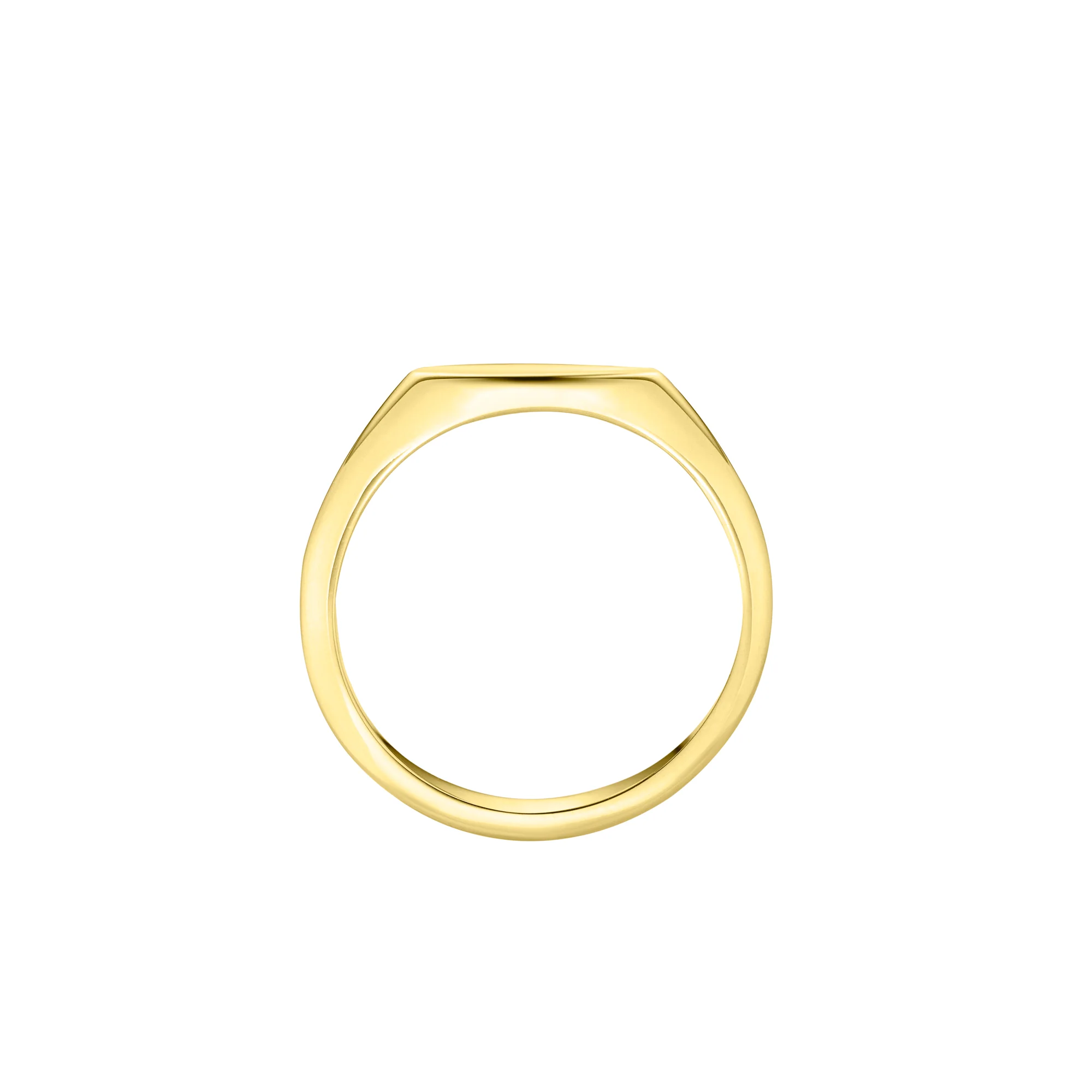 Fine Eclipse Oval Signet Ring | Ladies - Image 2