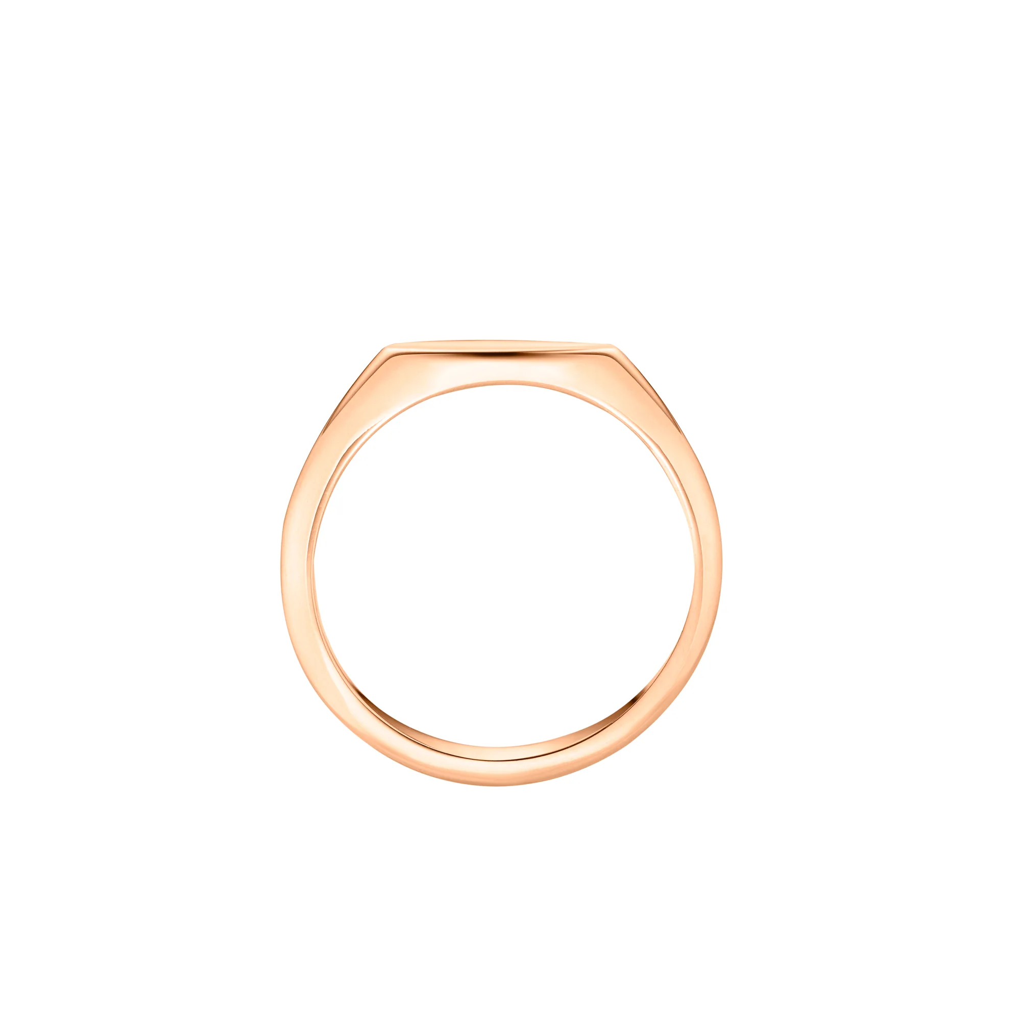 Fine Eclipse Oval Signet Ring | Ladies - Image 8
